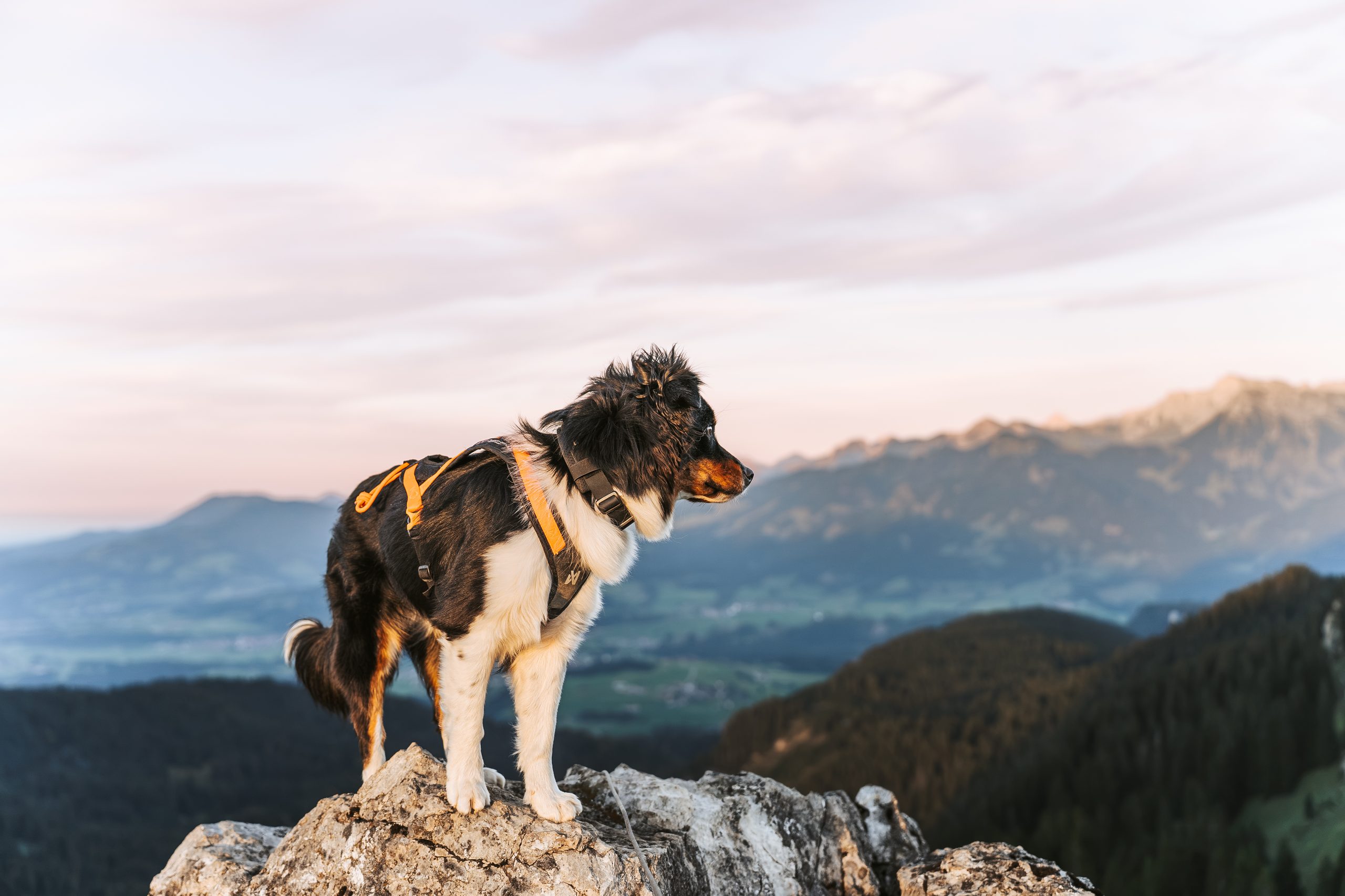 Sonnenuntergang am Beslergrat
