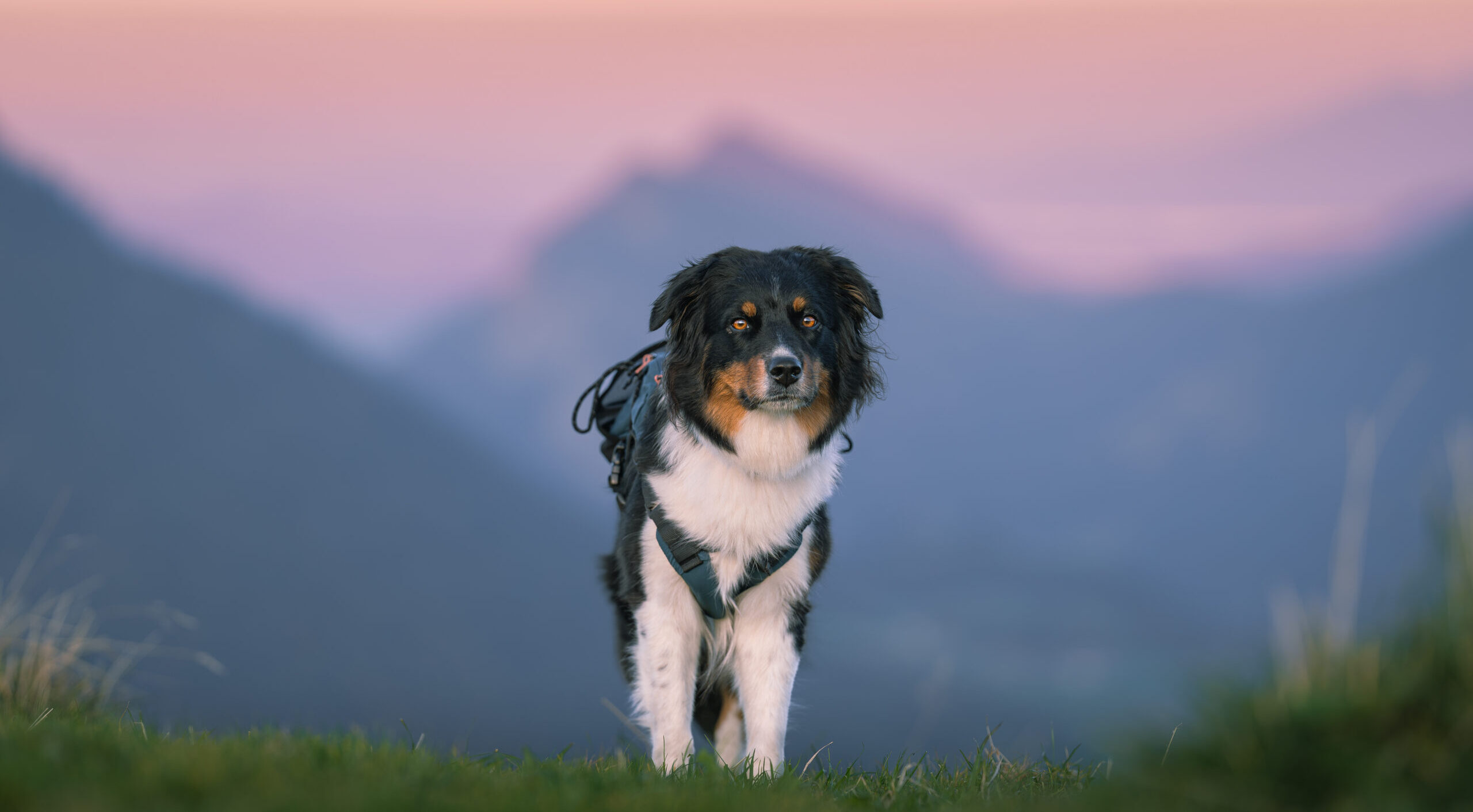 Sonnenuntergang am Hirschberg
